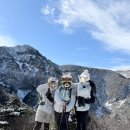 뉴월드부분정비 | 한라산 백록담 또 또 또 갔다! (관음사 등산 ~ 성판악 하산)