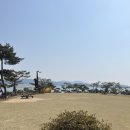 충남 태안 풍경펜션 강아지 동반 후기
