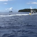 로마스할리데이 이미지