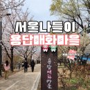 용답역 1번출구 | 서울 봄꽃 나들이 2호선 용답역 용답매화마을 벗꽃 즐기기 젠젠 성수에서 수플레 팬케이크는 덤