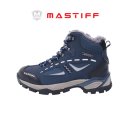 올리브 안전 이미지