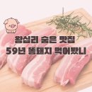 59년똥돼지