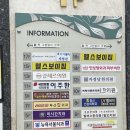 【부산】부산다이어트환약 한 달 복용 후기 “코호한의원” 한 달 복용 솔직후기