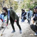 푸른산 디자인 서울신문
