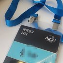 아이온파티 | 아이온2 FGT 후기