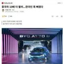 [펌] 한국인이 BYD를 많이 산다 (X) 이미지