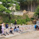 위량초교 김천신문