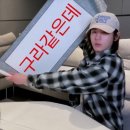 개 편한 세상 이미지