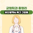 홍지호치과의원 | 부산광역시 북구 구포동 교정치과 총정리