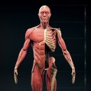 깐부PC | 해부학적인 관점으로 배우는 pt 체험후기 [안산 하와이짐PT]