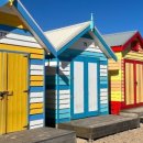 달록비치 이미지