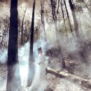 해피소울 이미지