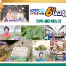 연씨네 야채농장