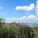 쪽빛언덕 이미지