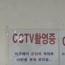 연충 이미지