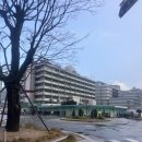J1 인턴 비자 그레이 레터 후기, 다시 돌아가도 미국 인턴 준비할건가요..?