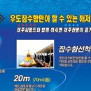 우도고고씽 이미지