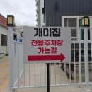 연일 초등학교 | [포항 여행] 현지인 추천 포항 남구 맛집 '연일개미집' | 히밥, 피식대학도 먹은 뽈 불고기