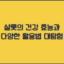 다양 이미지