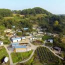 쑥티마을 이미지