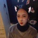 도유니버스