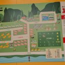 비발디 캠핑파크 이미지