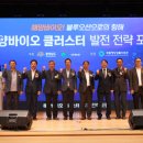 전략해양 이미지