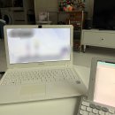 박여사네 세차하러가는날 | 2026 신묘월 3월의 일상 🐰