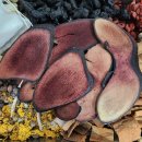 이도한의원 이미지