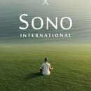 포포 스테이 이미지