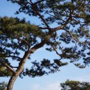 자유인의 카라반 이미지