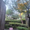 클럽타피올라 | 숲 속에 온 것 같은 느낌의 양평 펜션 클럽타피올라 방문후기