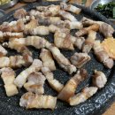 참착한오리 이미지