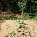 오동슈퍼 이미지