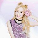 젤라또 팩토리 이미지