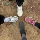 비음산 굴반쉼터 | 창원 가볼만한 곳, 창원 비음산 철쭉산행코스 (주차장/대중교통)