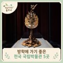 사회교육문화사 | 방학에 아이와 가기 좋은 전국 국립박물관 초등학생 역사 체험 투어
