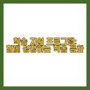 더조아 이미지