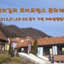 자라섬 캠핑장 이미지