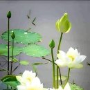모산로 이미지