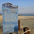 명태의 꿈(아트벤치 이미지