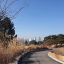 태광 | 태광CC 라운딩 후기— 티만 나오면 무조건 간다, 이유는 충분하다
