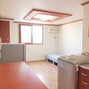 새럭키약국 이미지