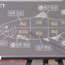 참치가게 이미지
