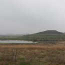 전봉준 단비 이미지