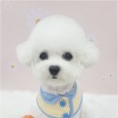 유연아임케어