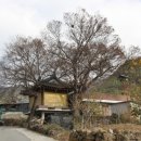 온동회관 | (후기) 지리산둘레길 15구간 (난동 - 오미)