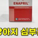 북광주동물약국 이미지