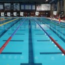 다도게이트볼장기타 | 2025년 어르신 스포츠 상품권💪, 지원대상 및 신청 방법!