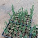 풍이농장 이미지